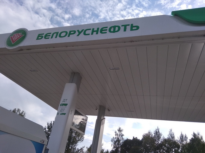 dogs at Belneft station 1