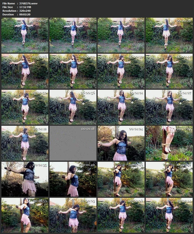 376B376.wmv