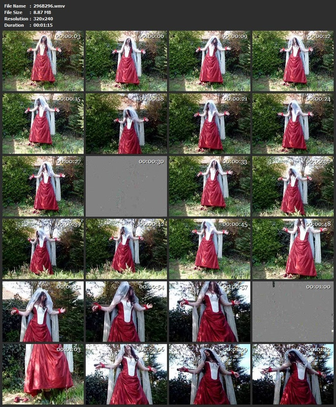 296B296.wmv