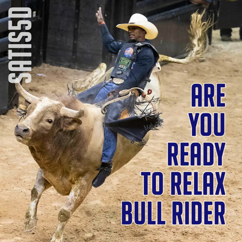 Satis5d-Are-You-Ready-To-Relax-Bull-Rider-Alice-Merton-vs-Johnny-Cash-vs-FGTH-vs-Ko-Rn.jpg