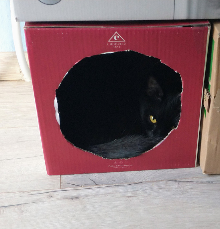 IMG_20251002_171842286~2