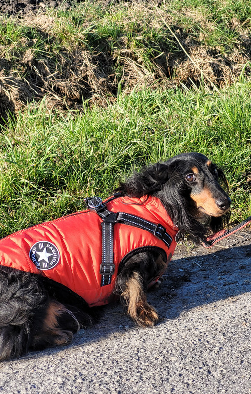 [Image: 20250202-152127.jpg]