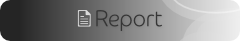 Report