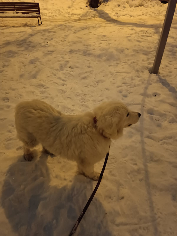 F6D9D561-D633-44C5-8DB7-04DDD6880870