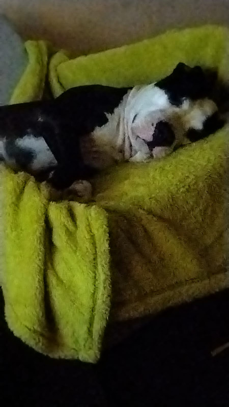 57282E47-88A2-4E11-A564-353378D88C17