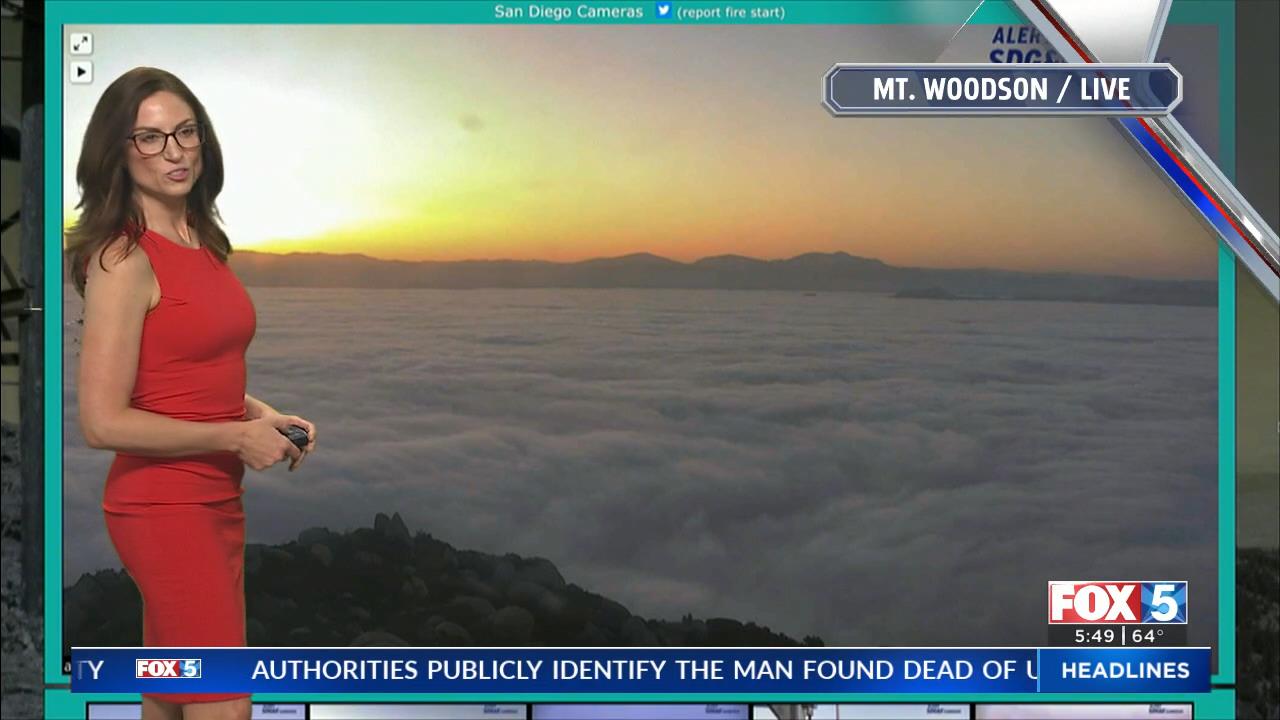 05.13 - 13.00.00 - FOX 5 Morning News at 5 00am  ᴺᵉʷ. Local news, wea..._001.ts_snapshot_05.05_[2021