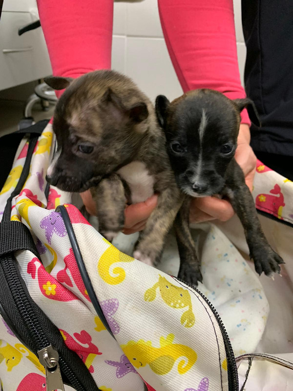 769938E0-5BFA-43AE-972F-FC18DE6AFF5F