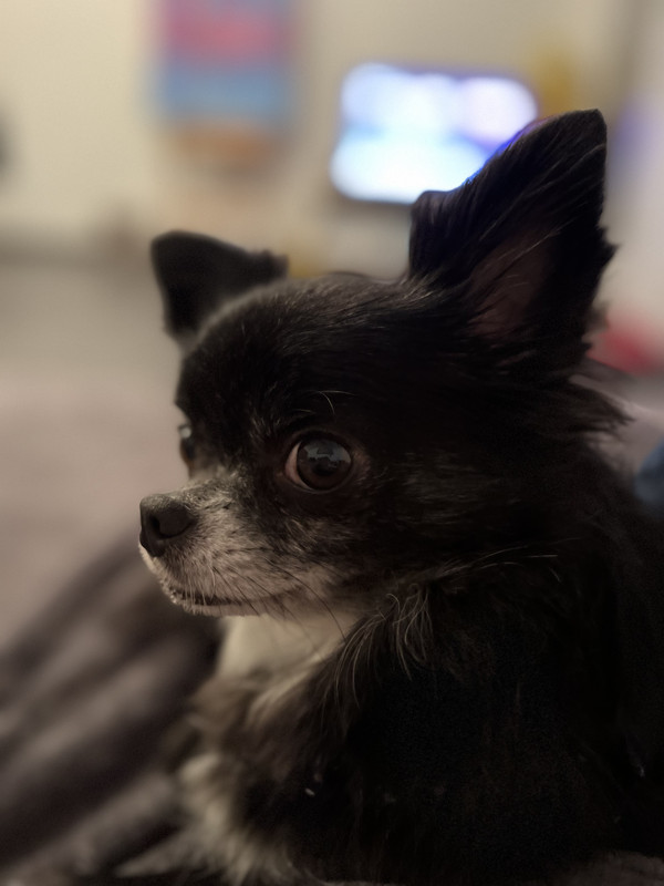 [Image: IMG-7154.jpg]