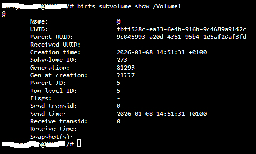 Capture NAS1 BTRFS