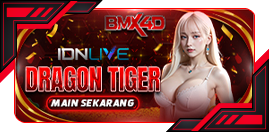 DRAGON TIGER