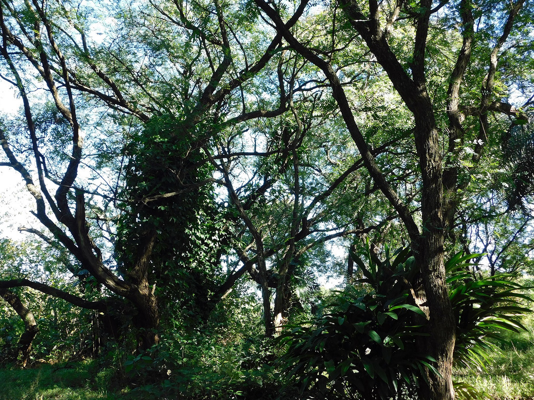 DSCN0111.jpg