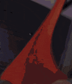 GIFs-2
