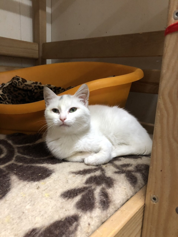 8913BF46-8D29-42D8-A611-FBCB1225AA7A