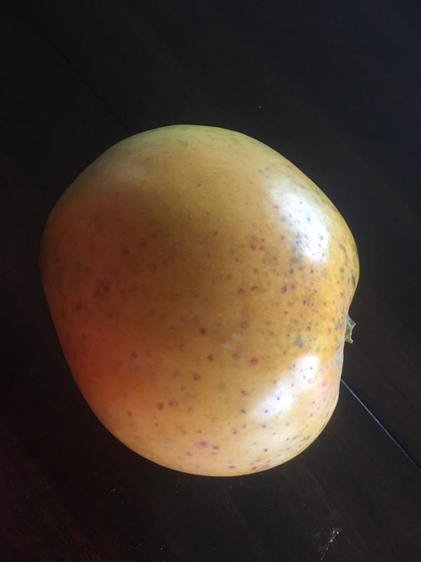 2FE04669-2E63-4BAB-9688-B22B76C6A272