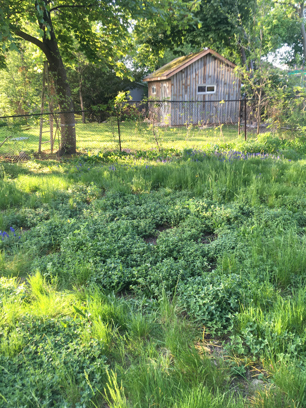 41A26F85-2A99-4DF6-AEAE-8D5AC610D5ED