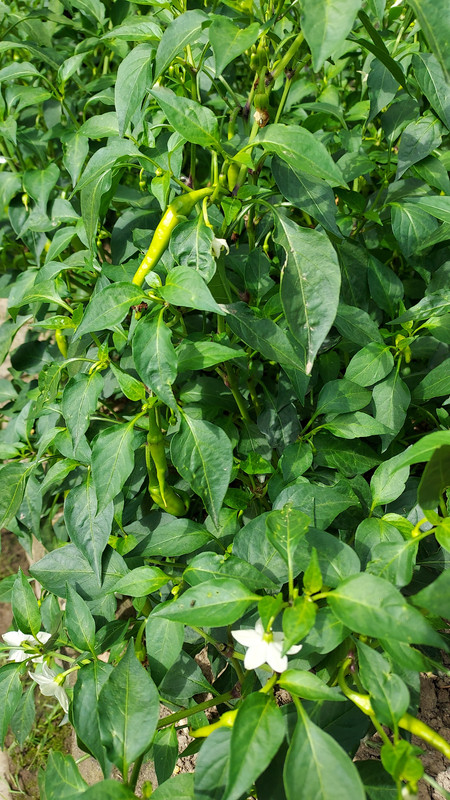 E447210C-80AA-427D-8C55-91B46B0D8F2E