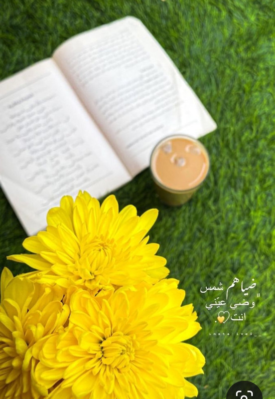 Screenshot_20240329_134328_Pinterest