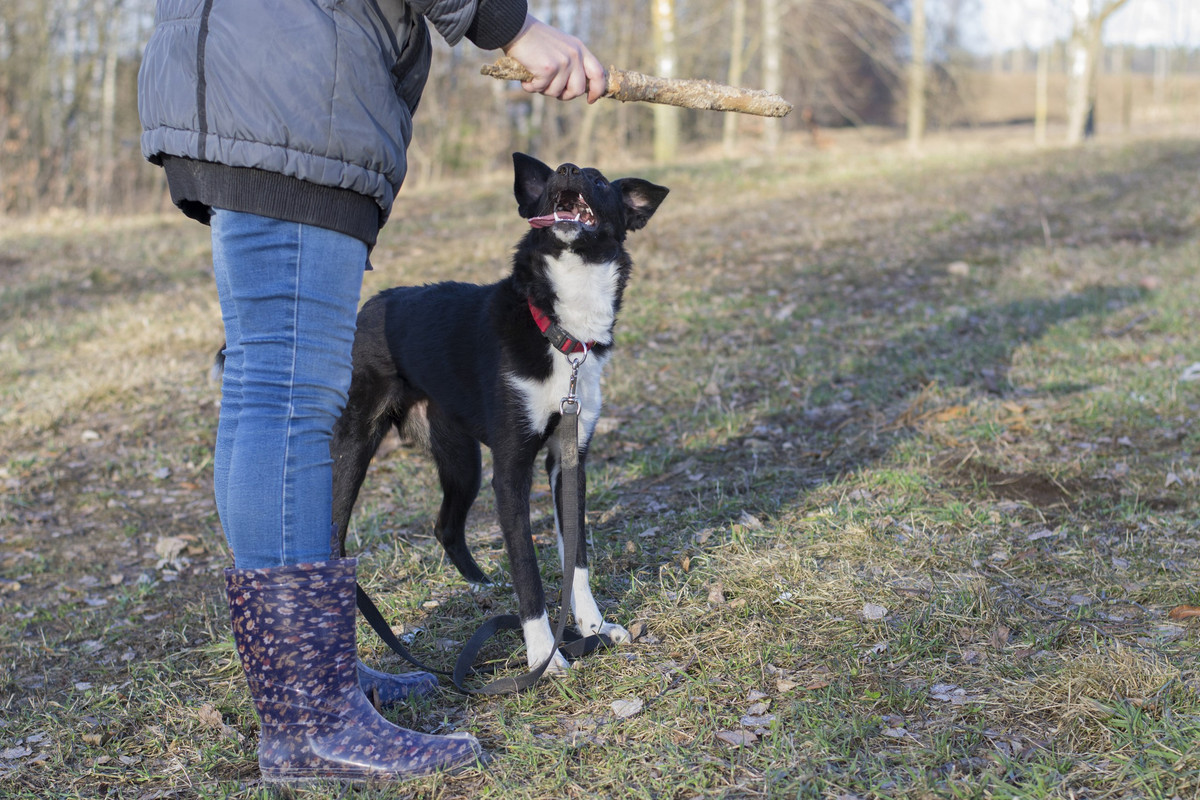 Дакота_06_18_13