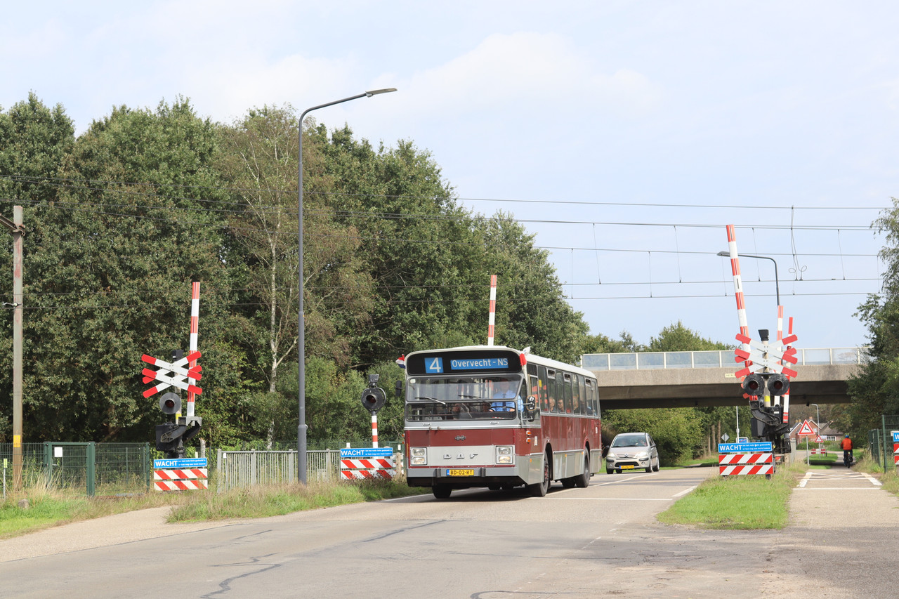 OVCN40 (18)