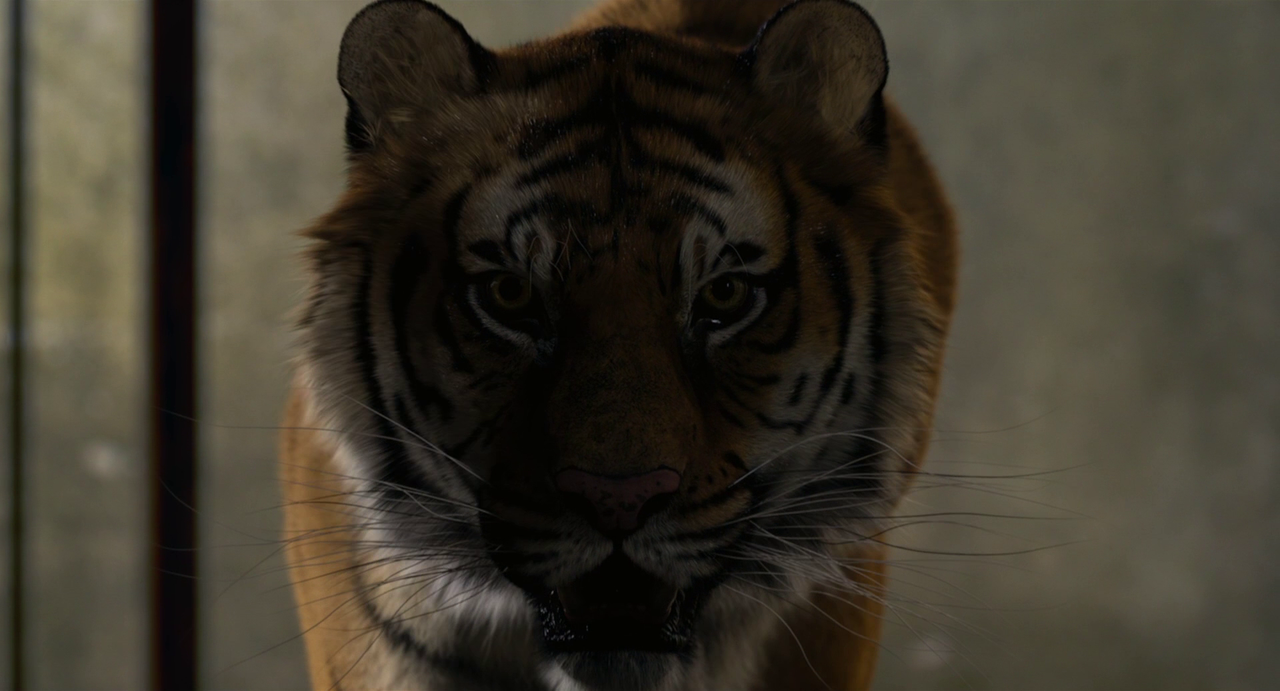 vlcsnap-2023-03-09-20h17m43s390