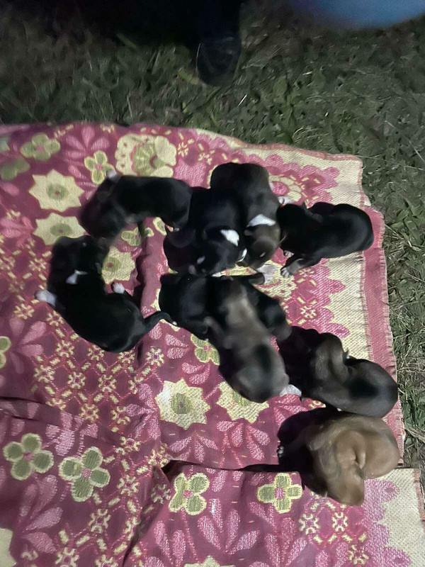 изображение_viber_2021-09-13_02-53-32-075