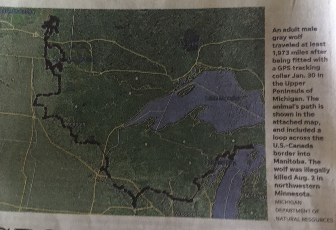 AB8A7B74-5CD0-4C4C-84A0-1FBE54AA574B