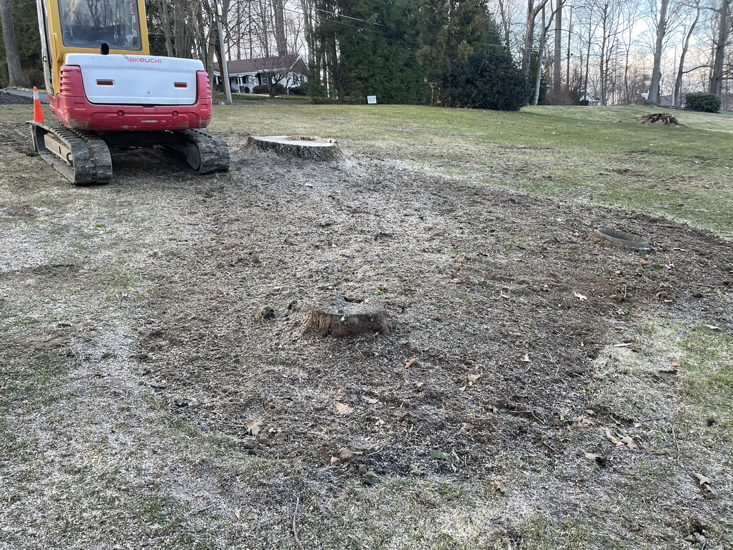 Tire marks Lawn Care Forum