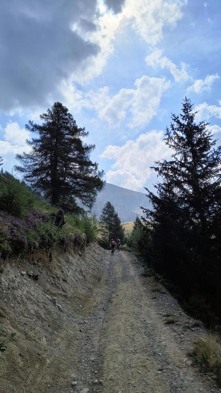 IMG-20260816-113932481-HDR-2.jpg