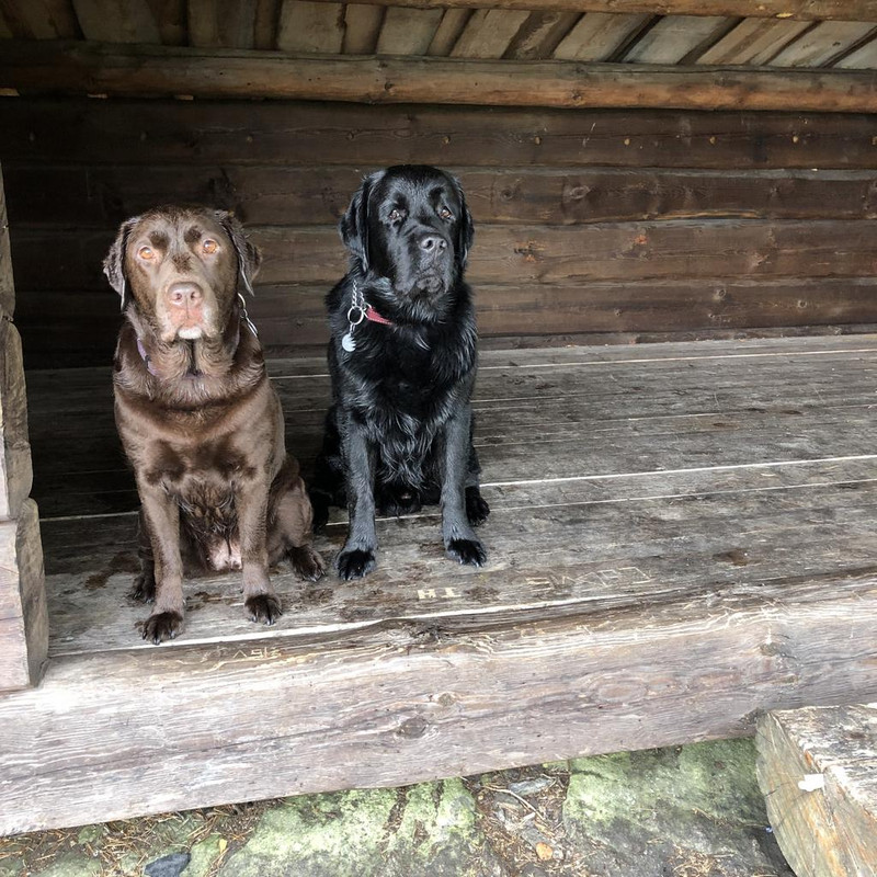 134A36E2-B58F-4727-9BAE-CA6D502629E3