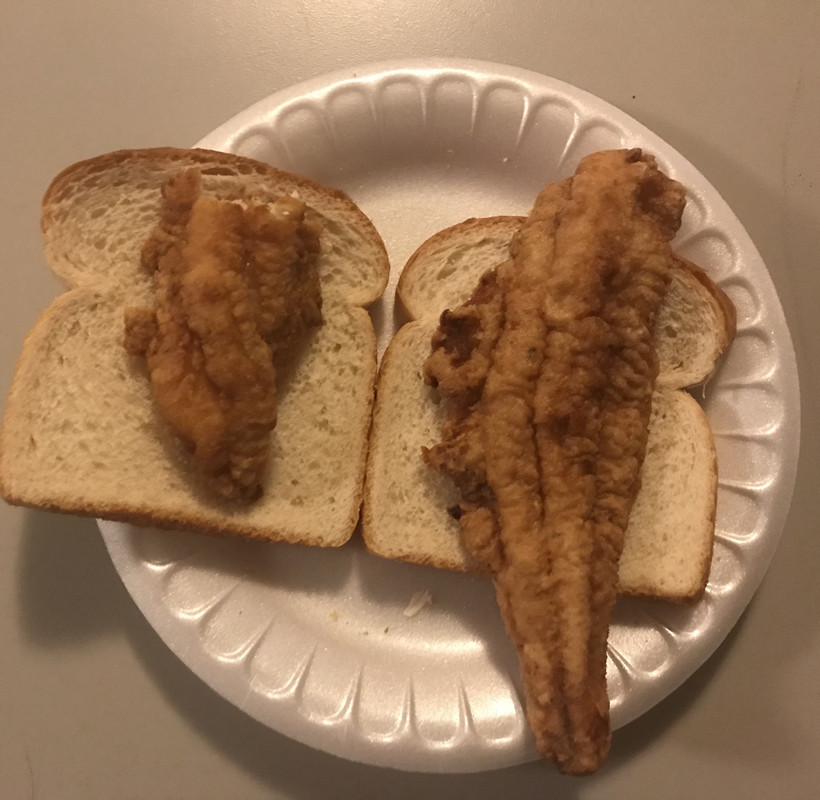 FEC1C9B6-EAD0-4963-8F9A-130163BC4723