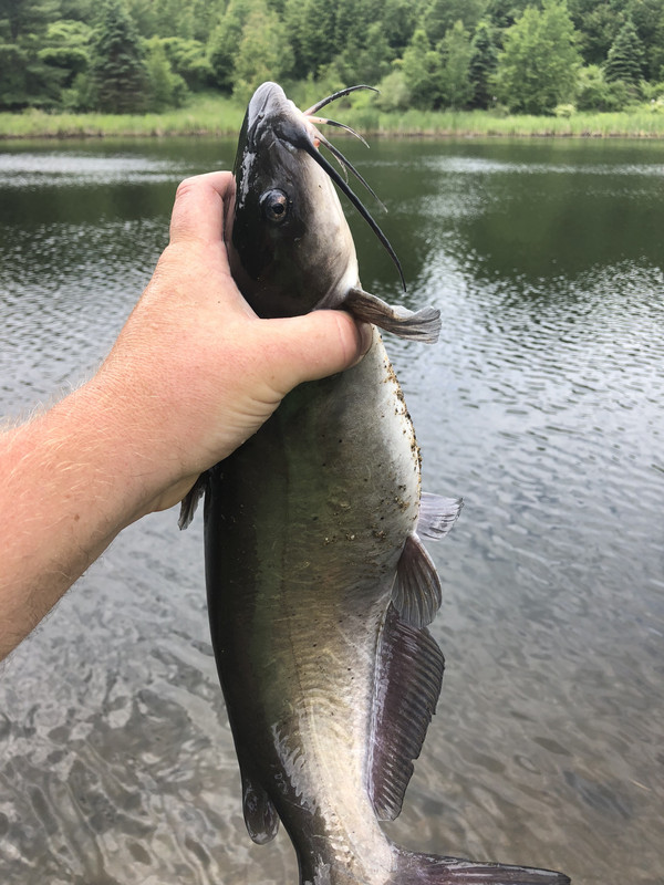 F3171CCB-2EEC-40BC-807F-7A504E1CC583