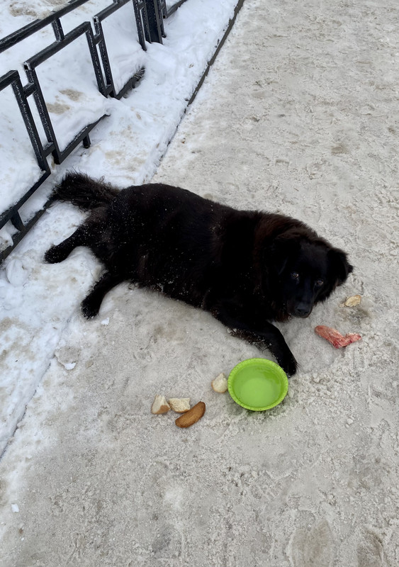 14969F07-BB3F-47E3-AFDF-FC8C790421BD