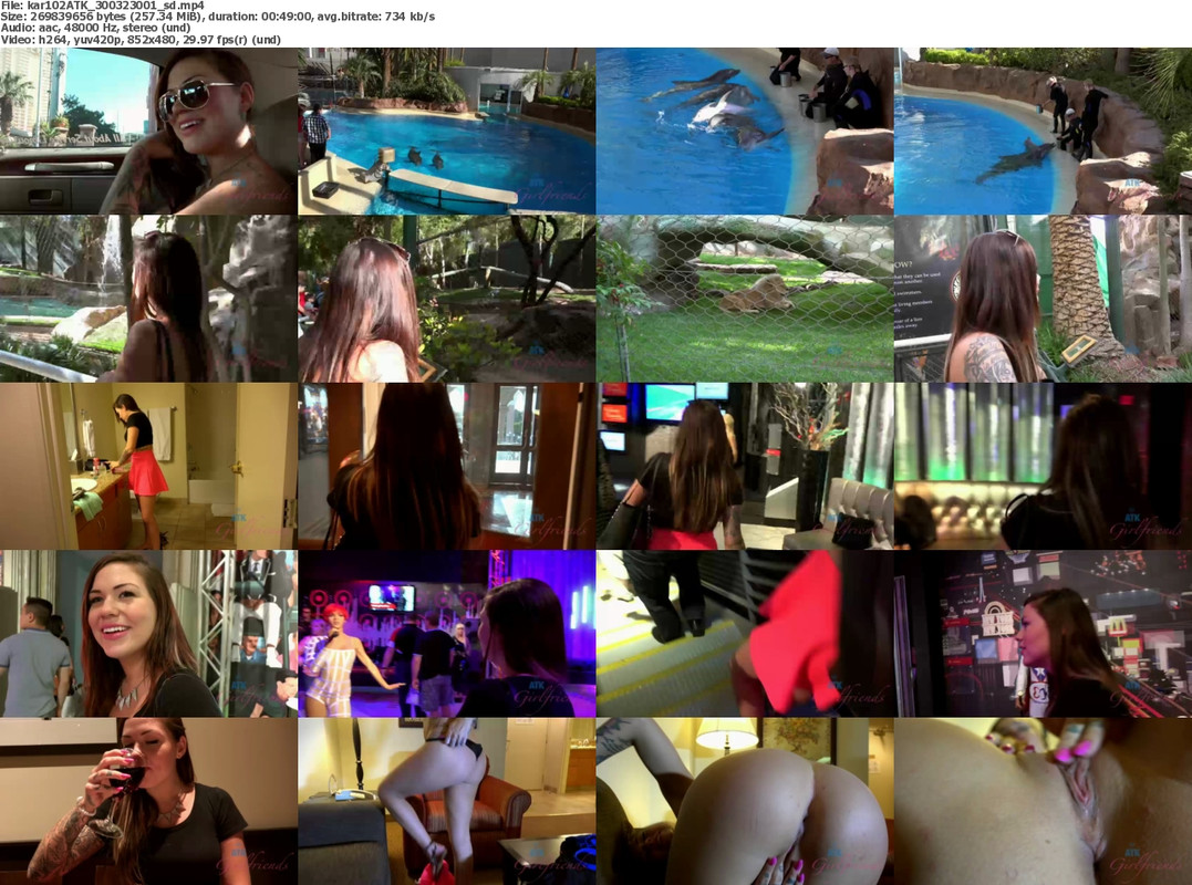 06122022125332screenshot