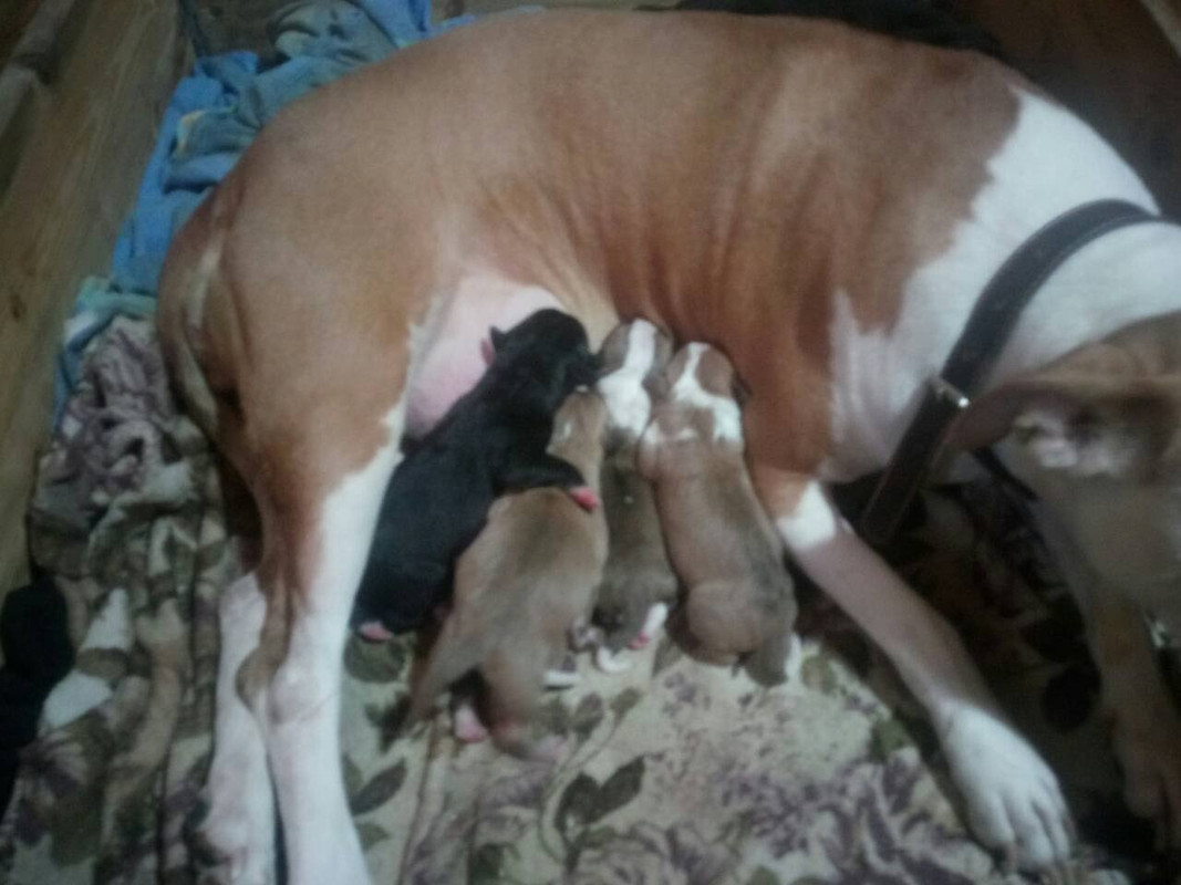 IMG-7b9b69e8cb2fc945abb9a454b710f611-V