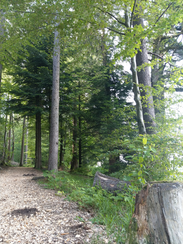 C91E4F38-3DC8-438B-801F-9ED6C8F692EB