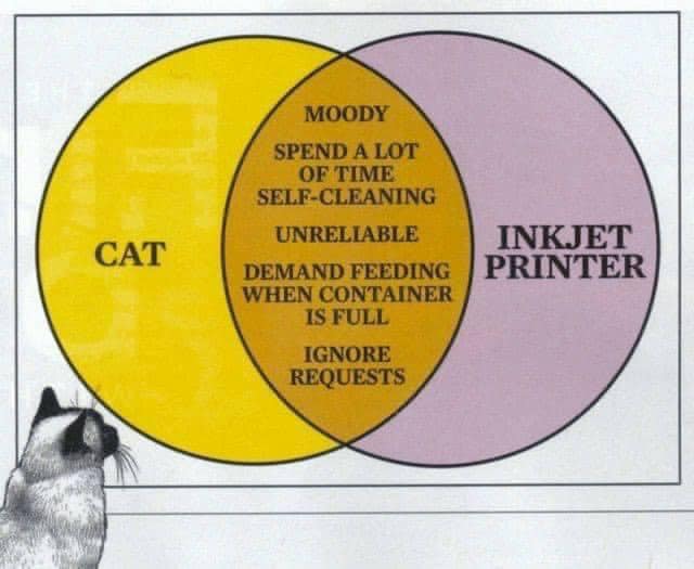 cat-printer.jpg