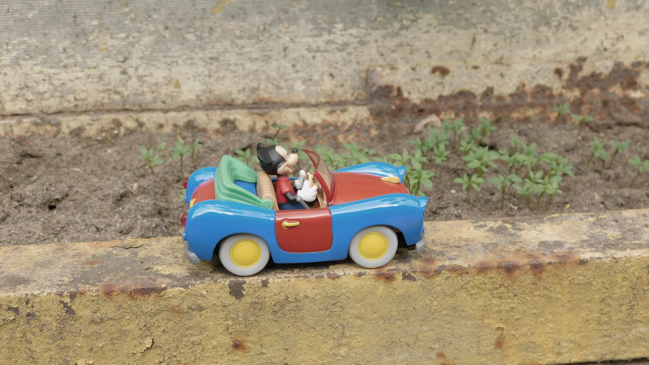 Дачное июль кудряшка , маус-машина и природа 024