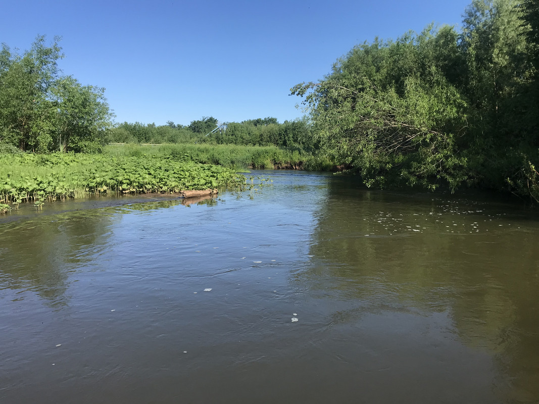 8008C765-C23A-4E99-BCA4-8D275ADBC346