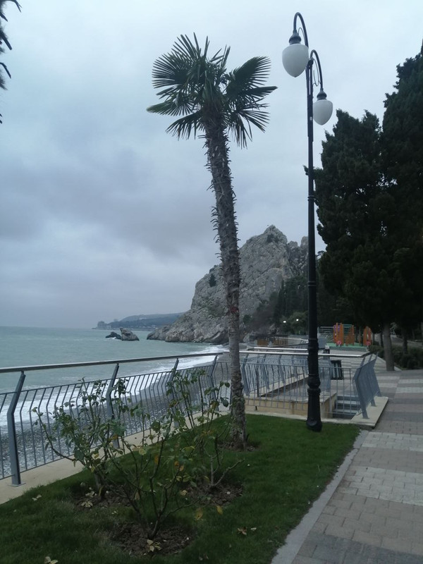 IMG_20230124_200343_534