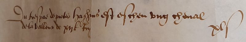 Trespas-de-Pieter-HAGHINS