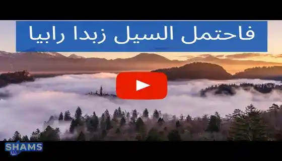 Interpretation-of-Then-the-torrent-carried-a-rising-foam