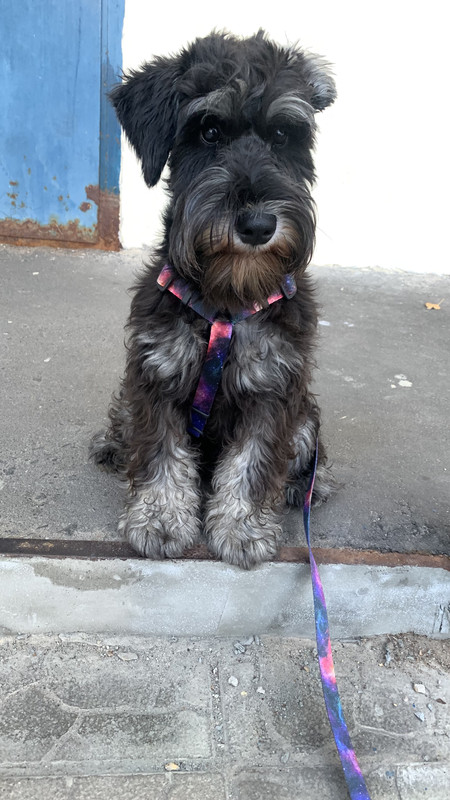 3FC0A667-A8F0-4692-8143-3B491D7815C2