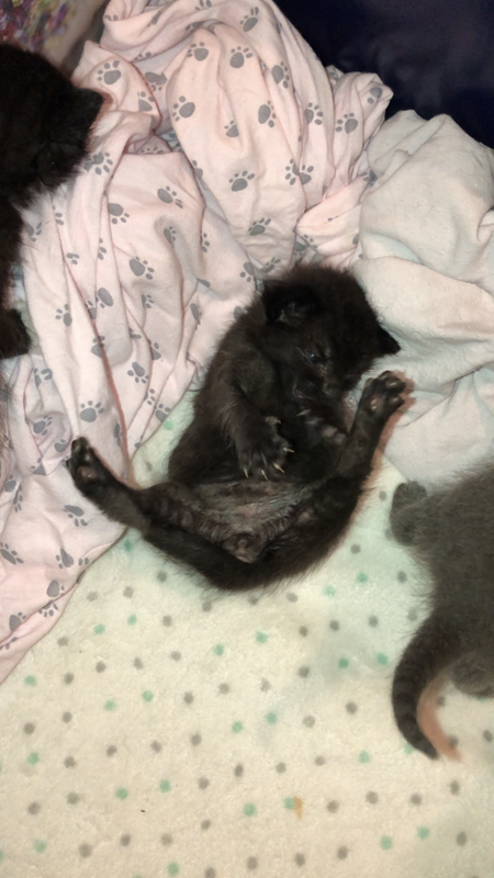 9F9944EC-47D9-46EE-99BE-F3DE2F07416E