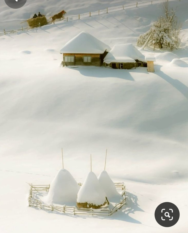 Screenshot_20231222_131257_Pinterest