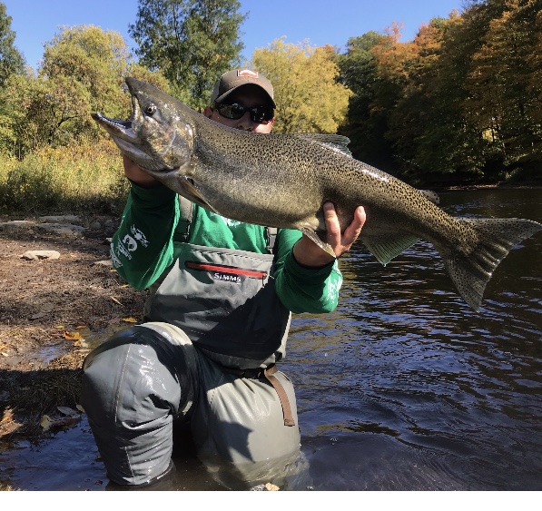 40B2F1E3-A280-4585-A7ED-B255826292CC