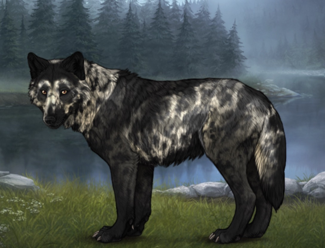 Chased Wolf Spotting - Revamped |:| Wolvden