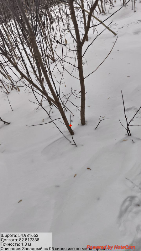 photo 54 2026 02 10 12 05 39