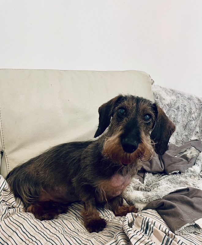 [Image: IMG-3563.jpg]