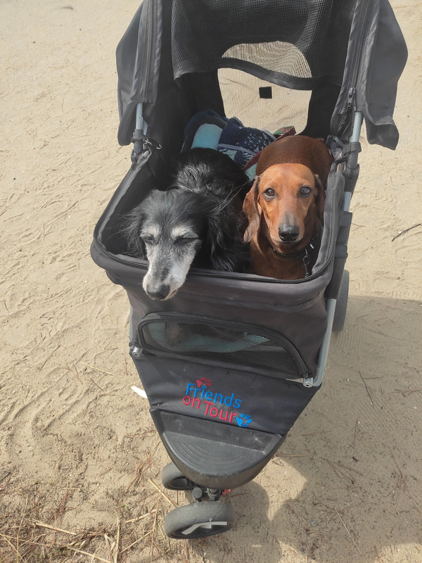 [Image: IMG-20240717-171715.jpg]