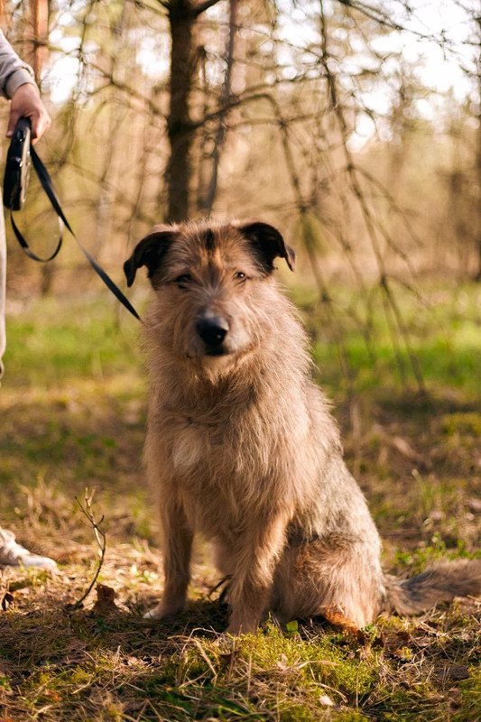 photo 2025 11 27 22 29 44 (2)